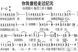 你我曾经走过纪元(电视剧《梅花三弄》插曲)简谱