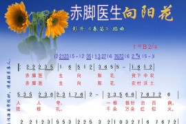 赤脚医生向阳花（影片《春苗》插曲）简谱