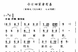 今日回家身有喜简谱