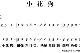 老童歌：小花狗简谱