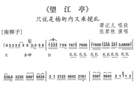 只说是杨衙内又来搅乱1简谱