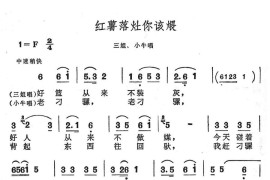 红薯落灶你该煨简谱