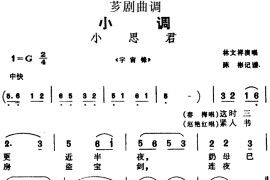 [芗剧曲调]小思君（选自《宇宙锋》）简谱