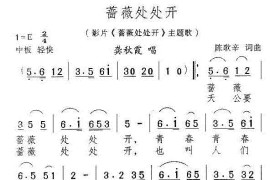 蔷薇处处开(电影《蔷薇处处开》插曲)简谱