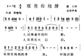 理想的翅膀简谱