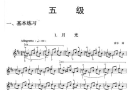 古典吉他考级五级练习曲（2首）音乐简谱