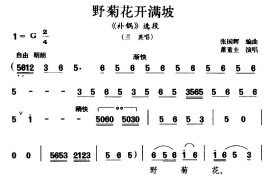 [湖南花鼓戏]野菊花开满坡（《补锅》选段兰英唱）简谱