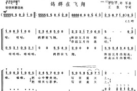 鸽群在飞翔简谱