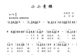 小小青稞简谱