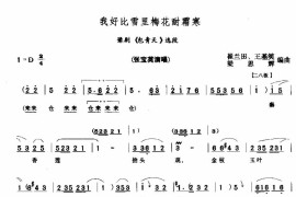 我好比雪里梅花耐霜寒简谱