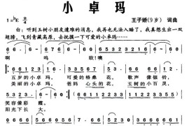 小卓玛（王子娇词曲）简谱