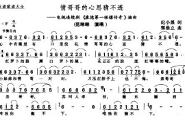 情哥哥的心思猜不透简谱