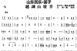 越调山坡羊（山东民乐、笛子）音乐简谱