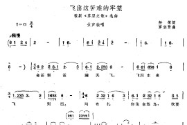 飞出这苦难牢笼1简谱