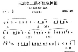 [婺剧]王志贞二眼不住双掉泪（《三太煎药》选段王志贞唱）简谱