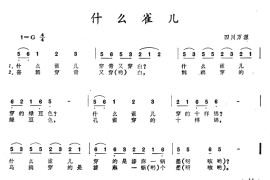 什么雀儿简谱