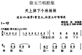 徐玉兰唱腔集：天上掉下个林妹妹（选自《红楼梦》贾宝玉、林黛玉对唱唱段）[越剧唱谱]音乐简谱