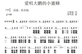 爱唱大鹏的小蜜蜂简谱