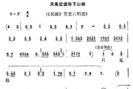 [秦腔]天亮后送你下山林（《祝福》贺老六唱腔）简谱