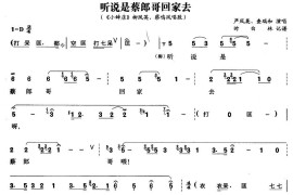 听说是蔡郎哥回家去（《小辞店》柳凤英、蔡鸣凤唱段）简谱