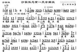 沙家浜总有一天会解放（《沙家浜》沙奶奶唱段、琴谱）简谱