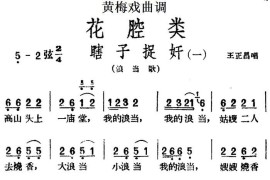 [黄梅戏曲调]花腔类：瞎子捉奸（2首）简谱