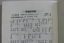 相逢是首歌（电视剧《红十字方队》片尾曲曲谱）简谱