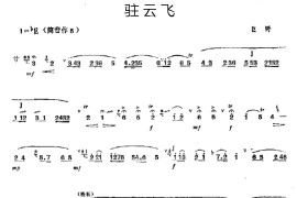 驻云飞音乐简谱