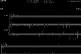 神秘花园（小提琴）简谱