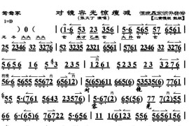 对镜容光惊瘦减（《鸳鸯冢》选段、京胡伴奏谱）简谱