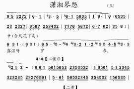 潇湘琴怨(3)简谱