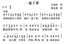 一盆丁香简谱