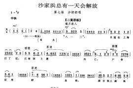 沙家浜总有一天会解放（《沙家浜》沙奶奶唱段）简谱