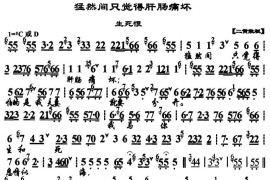 猛然间只觉得肝肠痛坏（《生死恨》选段、京胡伴奏谱）简谱