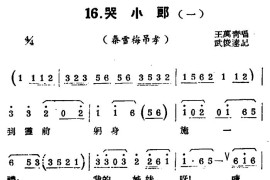 [扬剧曲牌]哭小郎（秦雪梅吊孝/白蛇传/宝玉哭灵）简谱