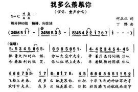 我多么羡慕你（童声领唱、合唱）简谱