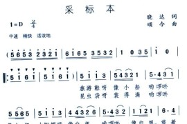 采标本简谱