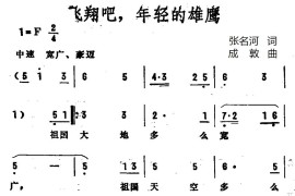 飞翔吧年轻的雄鹰简谱