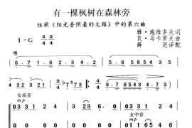 有一棵枫树在森林旁简谱