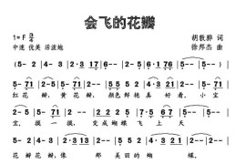 会飞的花瓣简谱