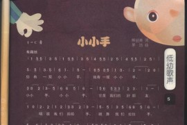 小小手（低幼歌曲、小班用）简谱