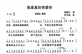 我是真的很爱你(电视剧《流星花园》插曲)简谱