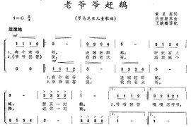 老爷爷赶鸭简谱