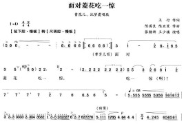 面对菱花吃一惊（《双玉蝉》曹花儿、沈梦霞唱段）[越剧唱谱]音乐简谱