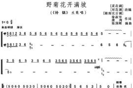 野菊花开满坡（《补锅》兰英唱段）简谱