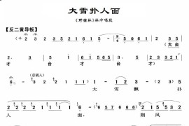 大雪扑人面简谱