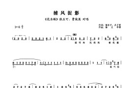 捕风捉影简谱