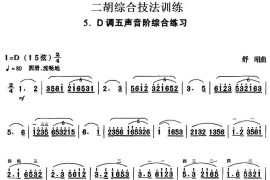 二胡综合技法训练：D调五声音阶综合练习音乐简谱