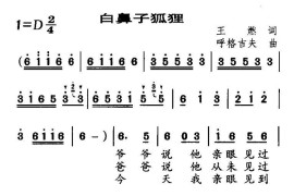 白鼻子狐狸简谱