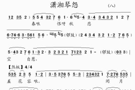 潇湘琴怨(8)简谱